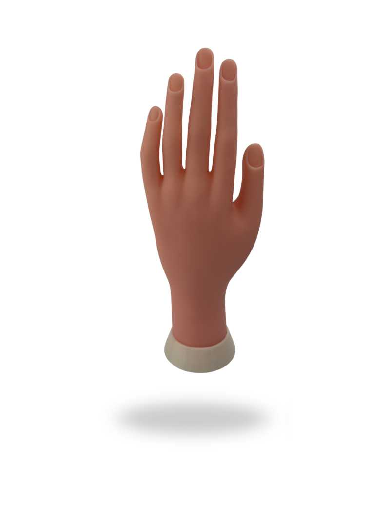 Main d’entraînement articulée