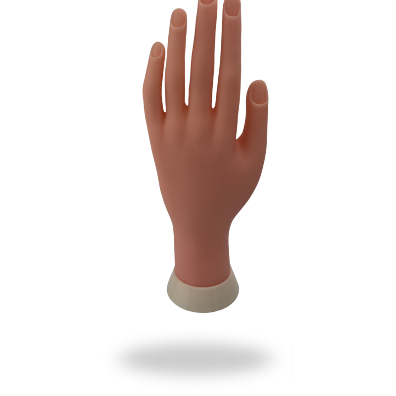 Main d’entraînement articulée